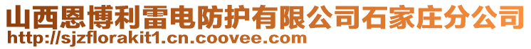 山西恩博利雷電防護(hù)有限公司石家莊分公司