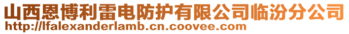 山西恩博利雷電防護(hù)有限公司臨汾分公司