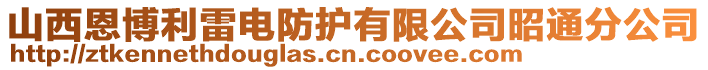 山西恩博利雷電防護有限公司昭通分公司