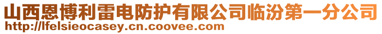 山西恩博利雷電防護有限公司臨汾第一分公司