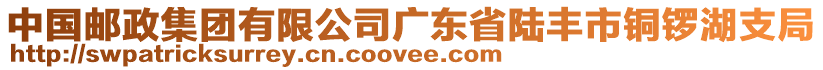 中國(guó)郵政集團(tuán)有限公司廣東省陸豐市銅鑼湖支局