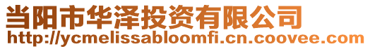 當陽市華澤投資有限公司