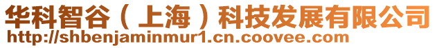 華科智谷(上海)科技發(fā)展有限公司