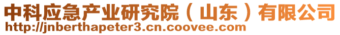 中科應急產業研究院(山東)有限公司