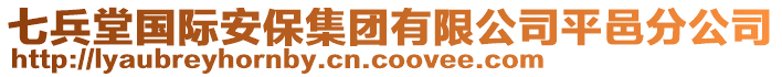七兵堂國際安保集團有限公司平邑分公司