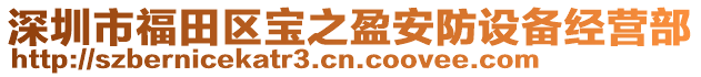 深圳市福田區寶之盈安防設備經營部