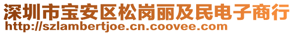 深圳市寶安區(qū)松崗麗及民電子商行