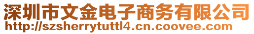 深圳市文金電子商務(wù)有限公司