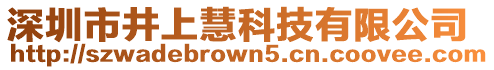 深圳市井上慧科技有限公司