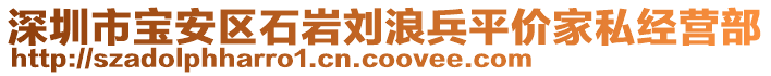 深圳市寶安區(qū)石巖劉浪兵平價(jià)家私經(jīng)營(yíng)部