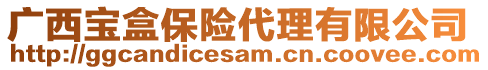 廣西寶盒保險(xiǎn)代理有限公司