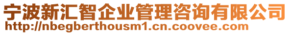 寧波新匯智企業(yè)管理咨詢有限公司