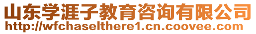 山東學涯子教育咨詢有限公司