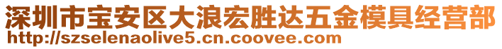 深圳市寶安區(qū)大浪宏勝達(dá)五金模具經(jīng)營(yíng)部