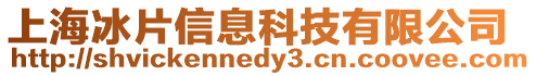 上海冰片信息科技有限公司