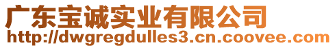 廣東寶誠實業有限公司