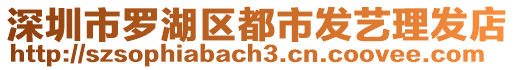 深圳市羅湖區(qū)都市發(fā)藝?yán)戆l(fā)店