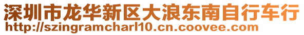 深圳市龍華新區大浪東南自行車行