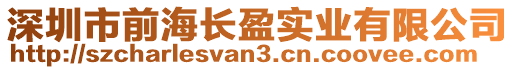 深圳市前海長盈實業有限公司
