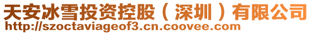 天安冰雪投資控股（深圳）有限公司