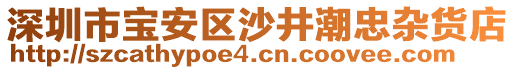 深圳市寶安區(qū)沙井潮忠雜貨店