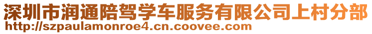 深圳市潤通陪駕學車服務(wù)有限公司上村分部