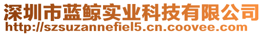 深圳市藍鯨實業(yè)科技有限公司