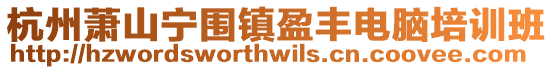 杭州蕭山寧圍鎮盈豐電腦培訓班