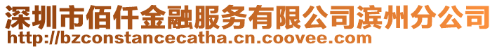 深圳市佰仟金融服務有限公司濱州分公司