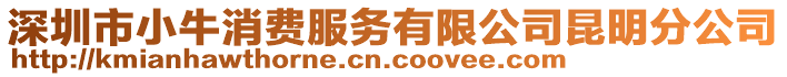 深圳市小牛消費服務有限公司昆明分公司