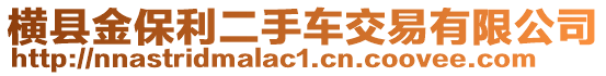 橫縣金保利二手車交易有限公司