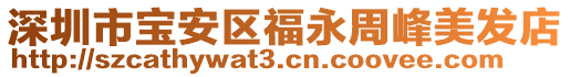 深圳市寶安區(qū)福永周峰美發(fā)店
