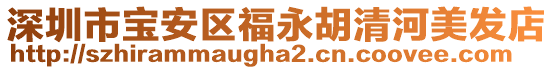 深圳市寶安區(qū)福永胡清河美發(fā)店