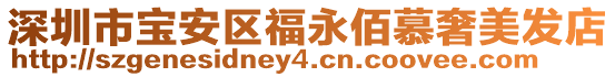 深圳市寶安區(qū)福永佰慕奢美發(fā)店