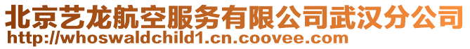 北京藝龍航空服務有限公司武漢分公司