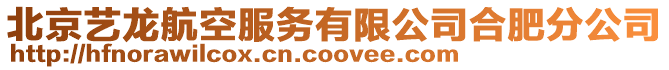 北京藝龍航空服務有限公司合肥分公司