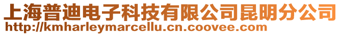 上海普迪電子科技有限公司昆明分公司