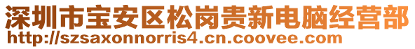 深圳市寶安區松崗貴新電腦經營部