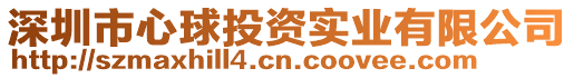 深圳市心球投資實業(yè)有限公司