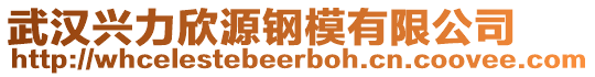 武漢興力欣源鋼模有限公司