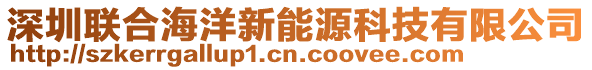 深圳聯(lián)合海洋新能源科技有限公司