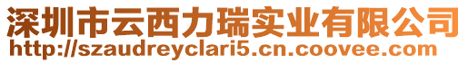 深圳市云西力瑞實業有限公司