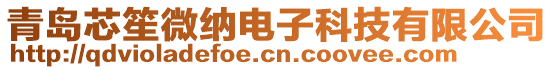 青島芯笙微納電子科技有限公司