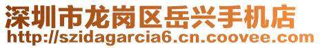深圳市龍崗區岳興手機店