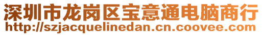 深圳市龍崗區(qū)寶意通電腦商行