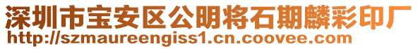 深圳市寶安區(qū)公明將石期麟彩印廠