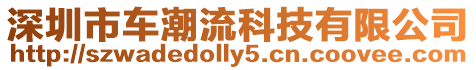 深圳市車潮流科技有限公司
