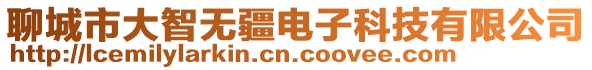 聊城市大智無疆電子科技有限公司
