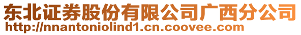 東北證券股份有限公司廣西分公司