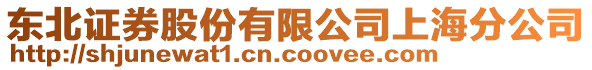 東北證券股份有限公司上海分公司